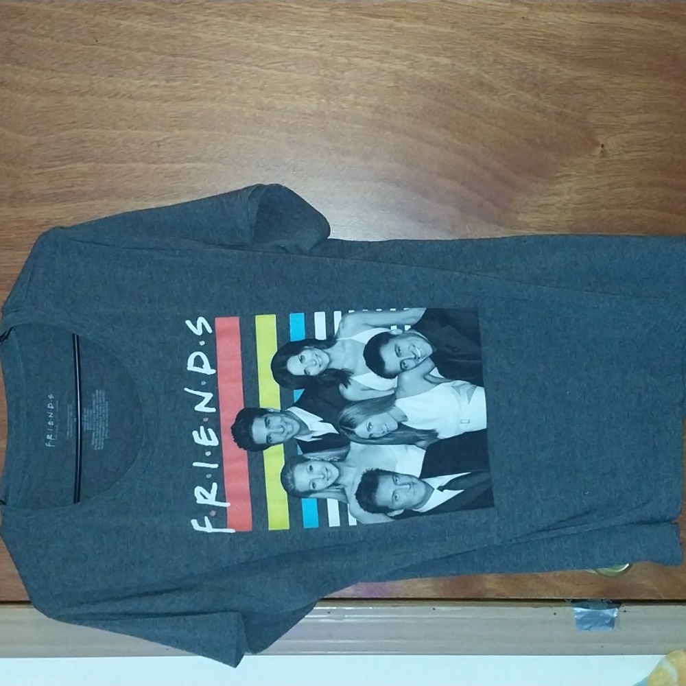 FRIENDS The T.V. Series Woman's 1X Gray Graphic S.S. Shirt. Matthew Perry 😪